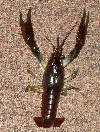 IMG_0231.jpg
